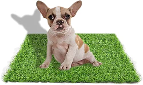 STARROAD-TIM 50 * 60 cm Lettiera per Cani con Erba Sintetica per Esterni, lettiera per Cani per casa, lettiera per Cani per Appartamento, lettiera per Cani per Balcone, Tappetino Riutilizzabile per