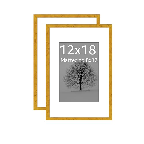 Image of Art Street Synthetic Document Large Size Wall Photo Frame, Set of 2 Big Frames For Wall Artwork, Certificates, Picture & Photographs Home Decor (12x18 Inch, Matted To: 8x12 Inch, Gold)