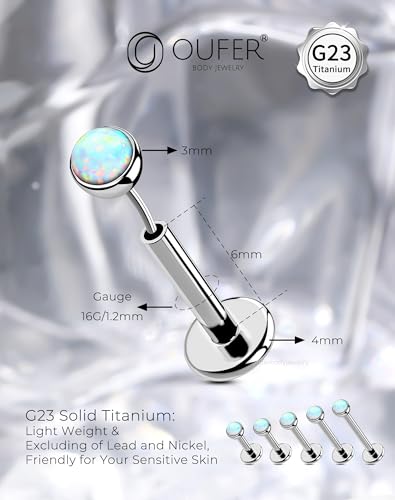 OUFER 2PCS 16G/20G Nose Lip Studs, G23 Solid Titanium Threadless Push in Nose Nostril Lip Labret Medusa Monroe Helix Cartilage Tragus Conch Lobe Piercing Jewelry for Women Men3