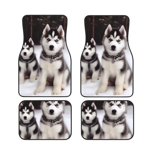 Tapis de sol voiture husky pour voyager en famille avec style