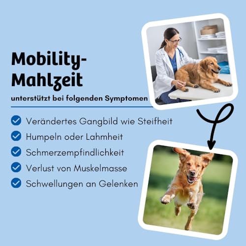 BugBell Softe Knabbersticks für Hunde 60g, Knochen & Gelenke, Fettreduziert & Pflanzlich, zur Unterstützung der Mobilität, Yuccawurzel, Kurkuma
