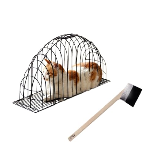 HeartTrend ���@�\�ȓS���L���b�g�P�[�W�ł��B�l�X�ȃT�C�Y�����p�ӂ��Ă���i�̏d2kg�`12kg�̔L�ɓK���Ă��܂��j�A����~�߃o�b�N�����t���Ă���̂ŁA�L�̈�����������E�������ʓI�ɖh���܂��B (S,�u���b�N + �����O�n���h���u���V)