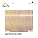 BLONDME BLONDE WONDERS Sand Toning Drops – Refresh and Enrich Blonde Tones – Vegan Hair Care, 1.01 fl oz