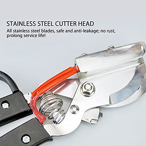 Spegnimento Termico dell'elettricità del Maiale