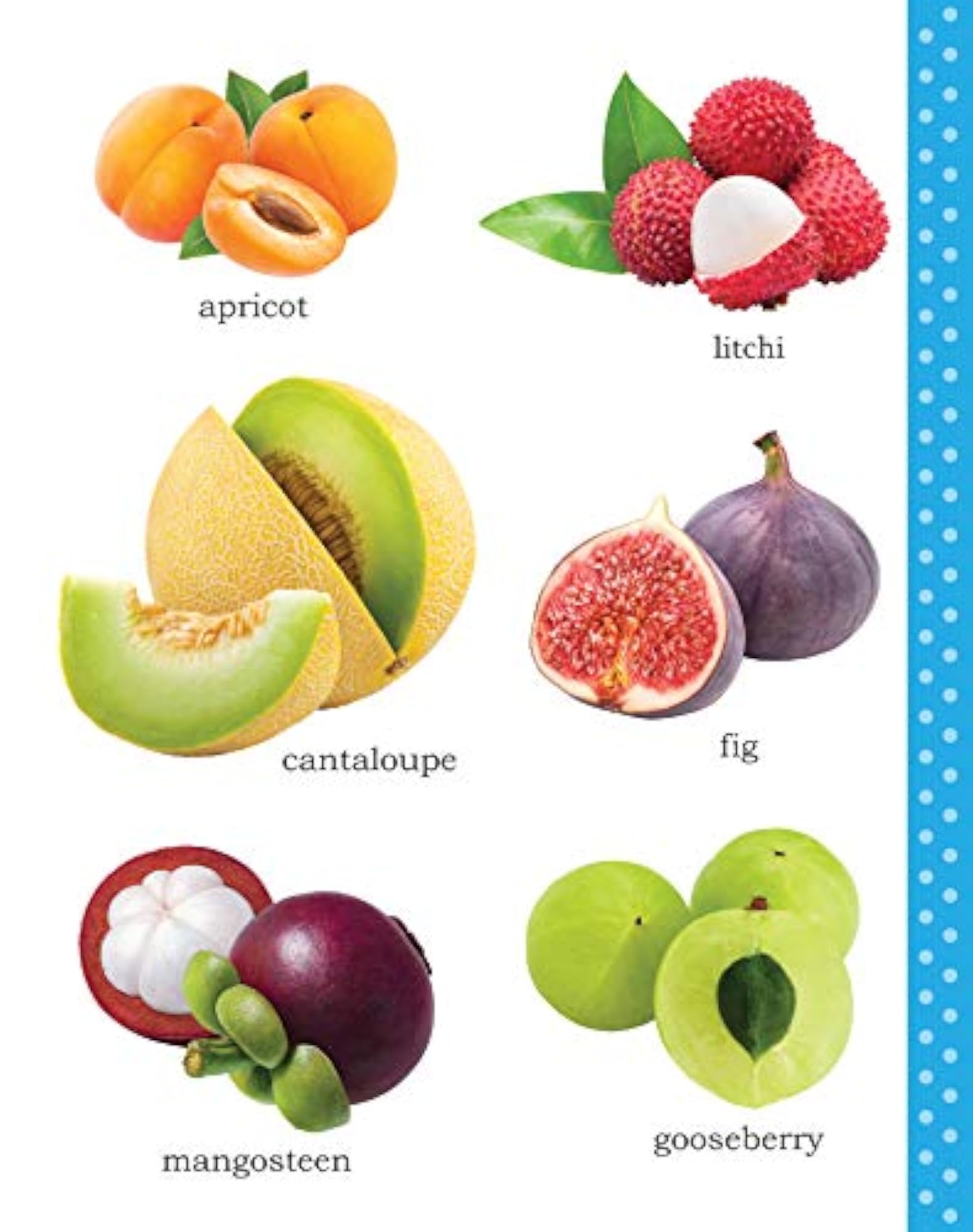 My First Picture Book of Fruits