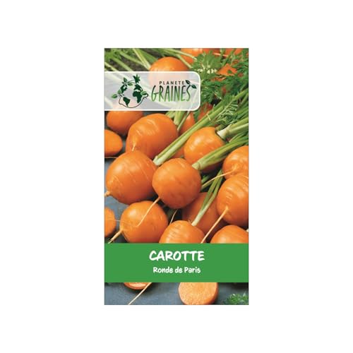 4 GRAMMES de Carotte 'Ronde de Paris' Hâtive & Nain | Racines Rondes Idéales Terres Lourdes & Pots | Goût Doux - 4000 GRAINES
