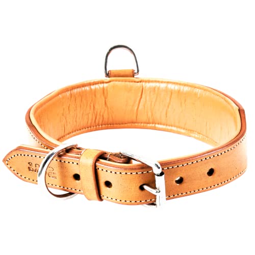 DowgClub, Light Brown, XL (Fit Neck Size 22"-26") - Image 3