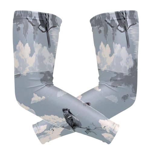 voucong Nile Sparrow Cloud Gray Running Arm Sleeves (1 Pair), UV Sun Protection Arm Cover Shield for Youth Youth Outdoor Working, M