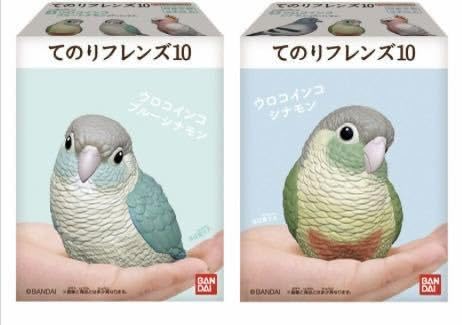 Amazon.co.jp: てのりフレンズ10 4種セット ウロコインコ 2種