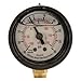 Pressure Gauge, Liquid Filled, 2-1/2 in