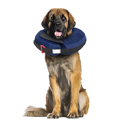 Calm Paws Basics Inflatable Collar XLarge