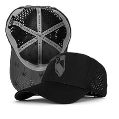 Florida Flag-palm Tree