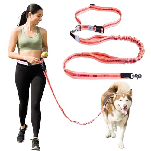 JC HOUSE  [h ^ ^p jO[h nYt[ xgt P U WMO p[h 2 Lk  xޗ ݐ؂h~ ׏d100kg sNi5118j