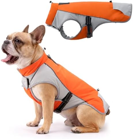 Bicolor Dog Winter Coat – Waterproof & Windproof Light-Insulation Jacket with Adjustable Neck & Tail, Reflective Christmas Dog Jacket for Outdoor Safety, Orange & Gray M