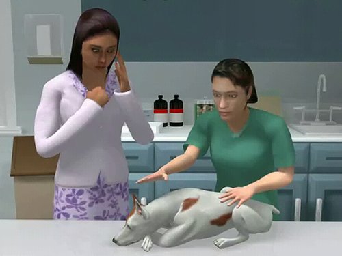 Pet Pals: Animal Doctor - Pc/Mac #TOP4