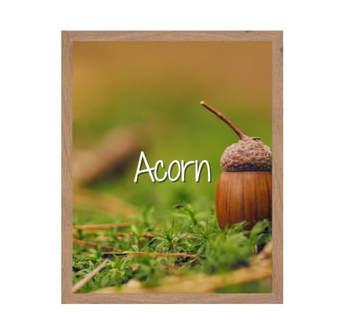 ALPINE INK CO. Acorn Poster with Frame - Nature Inspired