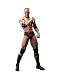 Bandai Tamashii Nations S.H. Figuarts Dwayne The Rock Johnson "WWE" Action Figure