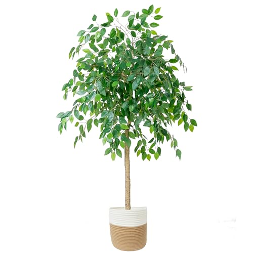 Homeplants Artificial Ficus Tree, 6ft Fake Ficus Leaves Plant with Woven Basket, Perfect Silk Tree for House Decor Office Home Living Room Floor Indoor Outdoor by Homeplants - Used condition - CA$86.06