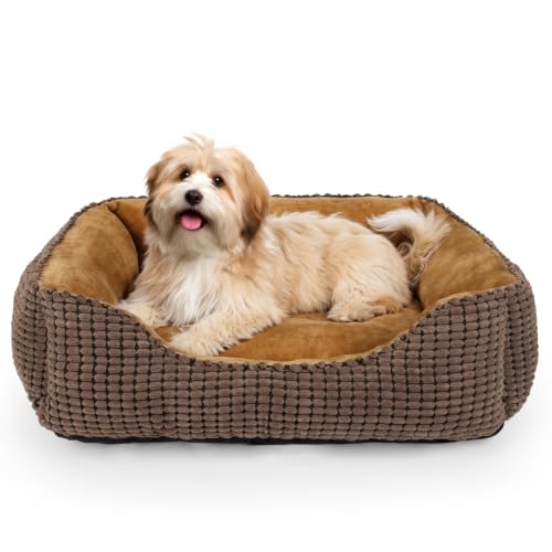 MIXJOY Rectangle Washable Orthopedic Dog Bed for Small, Medium and Large Dogs, Soft Calming, Sleeping Puppy Bed Durable Pet Cuddler with Anti-Slip Bottom, S (20"x19"x6")