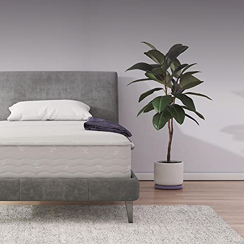 Signature Sleep Contour Encased Mattress