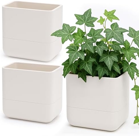 Phoenix Vine 6.5 Inch Wall Mounted Self-Watering Planter Pots for...