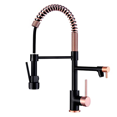Avola Classical Copper and Black Kitchen Faucet with Pull Down Sprayer