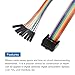 MECCANIXITY 2 Pcs IDC Rainbow Wire Flat Ribbon Cable FC-Female to 8P 19.6 Inch Length 2.54mm Pitch Breadboard Jumper Wires for Electronic Projects