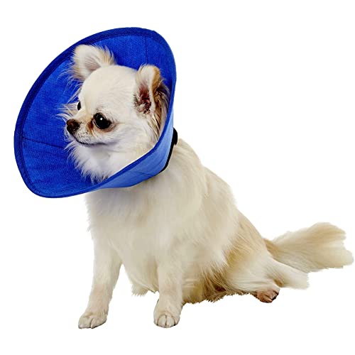Alfie Pet - Cobalt Recovery Collar (for Dogs & Cats) - Color: Blue, Size: XS