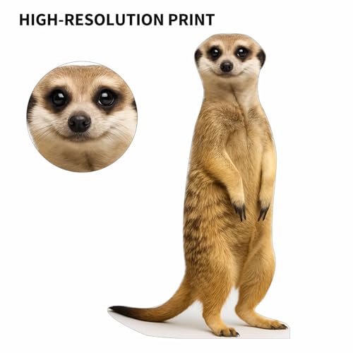 Image of Meerkat 2FT Life Size Cardboard Cutout - A Fun Animal Standup for Photo Booths, Birthday Parties, and Events