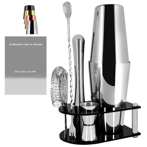 5 Piece Cocktail Shaker Bartender Kit: 750/600ml(25/20oz) Cocktail Shaker Set with Stand, Drink Mixing Includes Martini Shaker,Strainer,Jigger,Bar Mixer Spoon,Muddler Bar Tool Set (Silver)