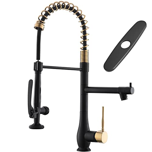 GIMILI Black & Gold Kitchen Faucet with Pull Down Sprayer