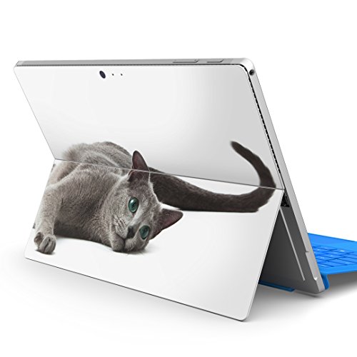 igsticker Surface pro7 (2019) pro6 pro2017 pro4 p XLV[ T[tFX m[gubN m[gp\R Jo[ P[X tB XebJ[ ANZT[ ی 005907 Aj} ʐ^Ei ʐ^
