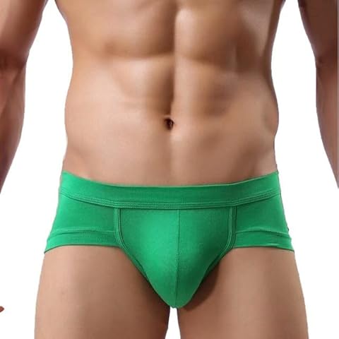 Brand Underwear Mesh Qucik-Dry Sexy Men Modal Briefs Breathable Mens Cueca Male low waist Panties Underpants 14 s-green Cover