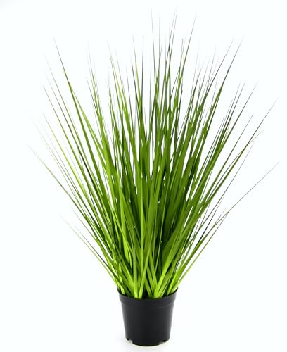 Flair Flower Gras Im Topf, Kunststoff, Grün, 60 x 20 x 20 cm