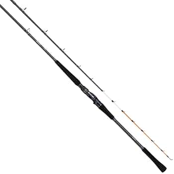 ダイワ　ビシアジロッド Amazon.co.jp: ダイワ(DAIWA) ジギングロッド ソルティガ J