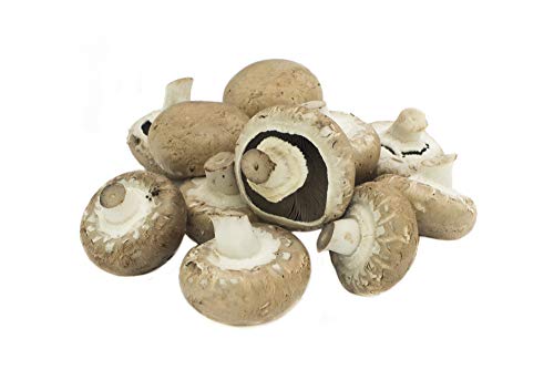 Fresh Produce Swiss Brown Mushroom 200g
