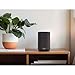 Denon Home 150 NV Wireless Smart Speakers Bundle Including: Surge Protector, 2X RCA Cable, 2X Auxiliary Cable, Cable Ties, Fiber Cloth