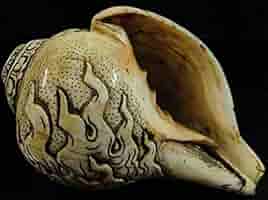 チベット密教法具　法螺貝（シャンカ）チティパティ-2 Amazon.co.jp: チベット密教法具 法螺貝 シャンカ チティパティ