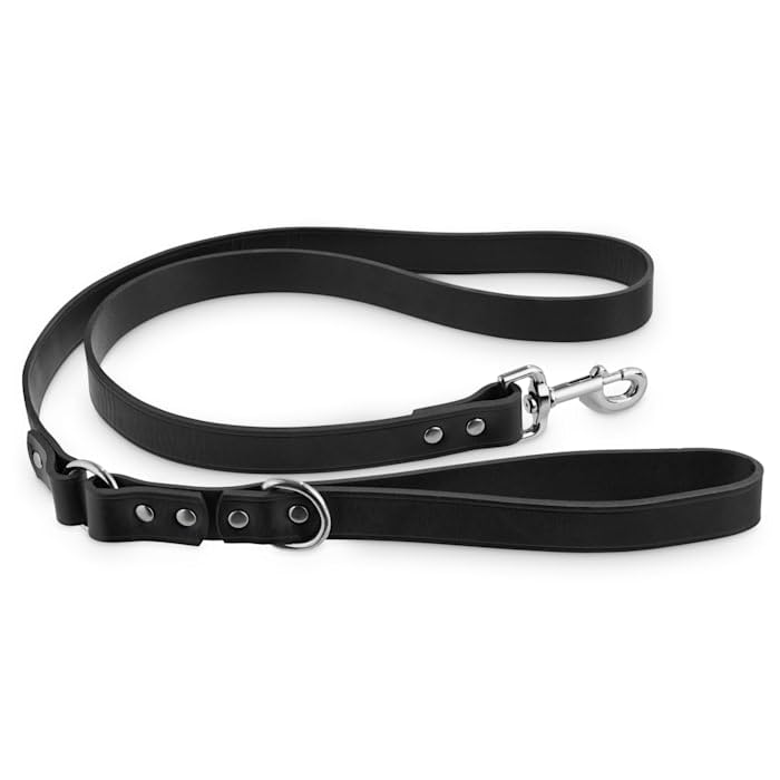 Bond & Co. Black Leather Dog Leash, 5 ft.