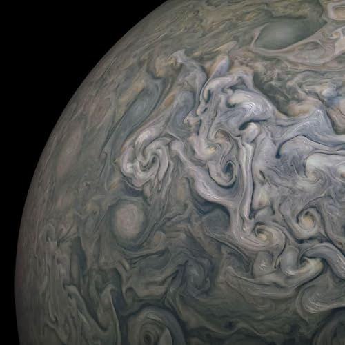 Starling's Nest cover art