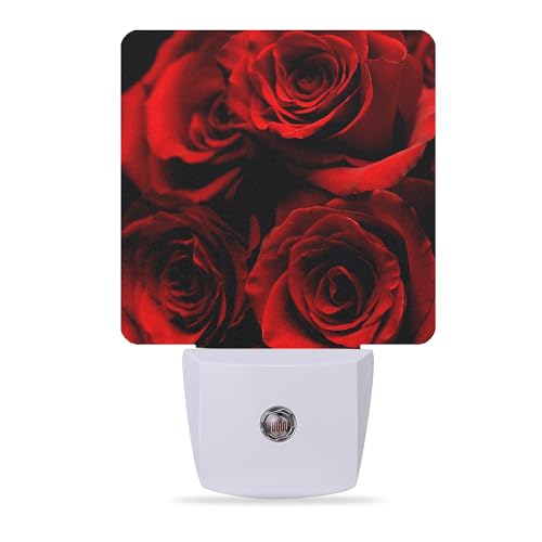 Image of Rose Night Lights Plug into Wall Abstract Red Rose and Black Leaves Night Lights Dusk to Dawn Sensor Led Lamp for Women Men,Led Lights for Stairway /Hallway /Bedroom,0.5W