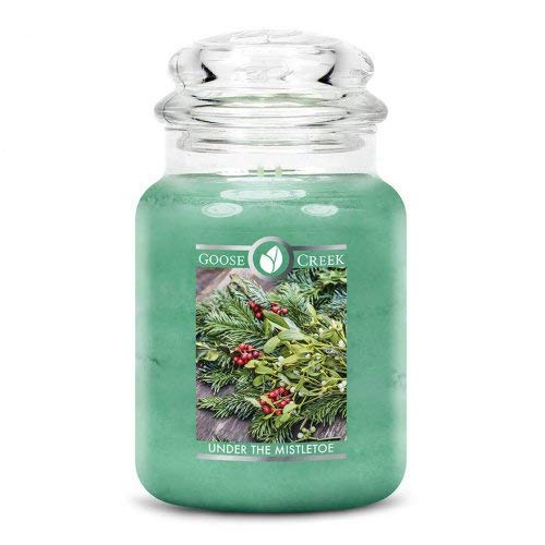 Preisvergleich Produktbild Goose Creek Candle Under The Mistletoe 680g