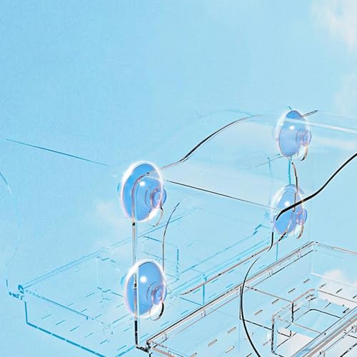 Comedero para pájaros de acrílico transparente que evita semillas mojadas 7