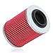 Poweka KN152 Oil Filter Compatible with CAN-AM COMMANDER BOMBARDIER OUTLANDER MAX 330 400 1000 DS650 DS650X BAJA Replace HF152 Powersports High Performance Filter