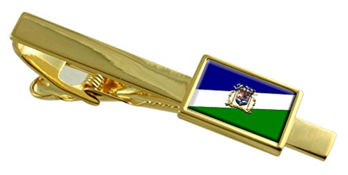 Clip de corbata de Sao Francisco de Itabapoana de Río de Janeiro en oro grabado