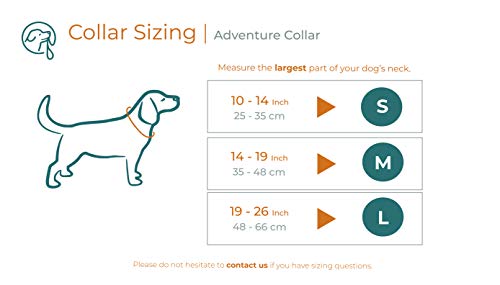 Embark Adventure Dog Collar with Soft Padded Neck, Matching Set with The Adventure Leash and Harness, Pet Collars for Dogs & Most Breeds (Medium, Black)