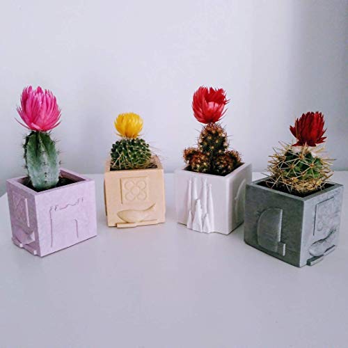 3 Mini Macetas cúbicas Recuerdos de Barcelona, diseño exclusivo