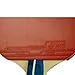 Butterfly Harimoto Tomokazu 2000 Shakehand Table Tennis Racket Great First Racket Due to Balance of Speed & Spin Japan Series Recommended for Beginning Level Players