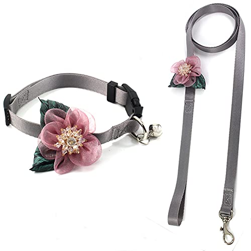 PETFAVORITES Ђ܂ K[ hbOJ[ - O\ȉԔL̎ NX^׃O[[tƃxt - p^p\tgiC(p[vJ[ƃ[VATCYS)