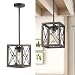 Zeyu 1-Light Farmhouse Pendant Light, Vintage Cage Hanging Light with Clear Glass Shade in Wood and Black Finish, 011-1 WF/BK